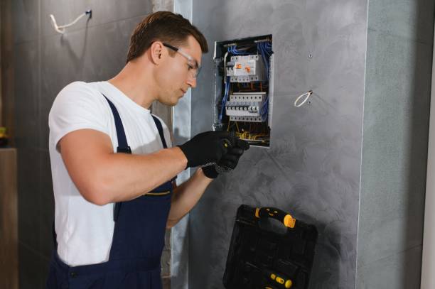 Best Electric Panel Repair  in Lake Los Angeles, CA